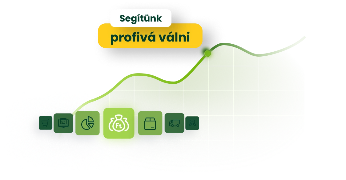 Shoprenter webáruház fejlesztési támogatás